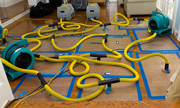 Professional Sewage Cleanup technician working in Blandon, PA